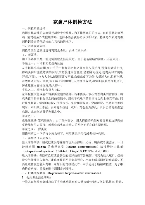 家禽尸体剖检方法