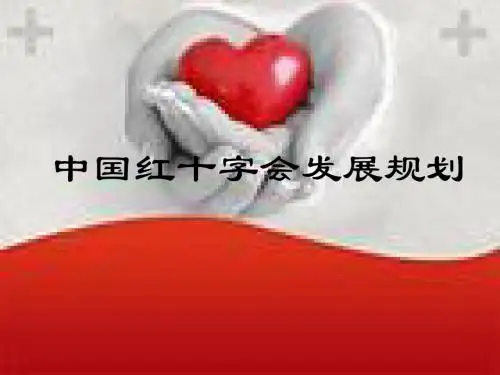 红十字发展规划