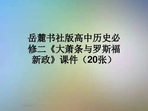 岳麓书社版高中历史必修二《大萧条与罗斯福新政》课件(20张)