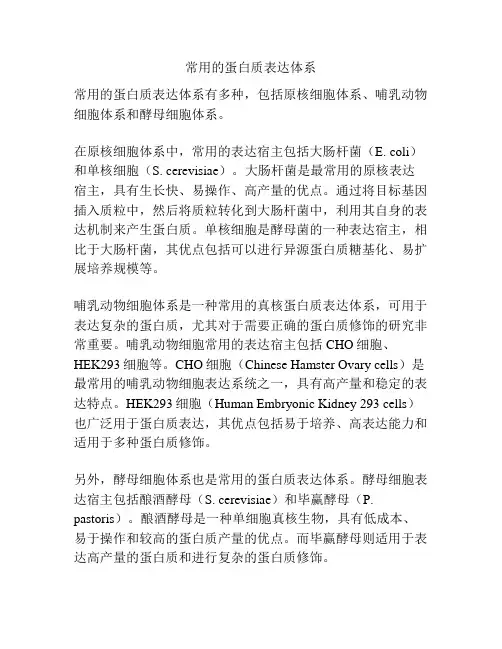 常用的蛋白质表达体系