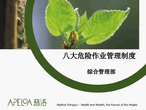 八大危险作业管理制度培训