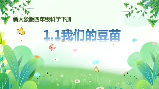 新大象版四年级下册科学第一单元第1课《我们的豆苗》课件