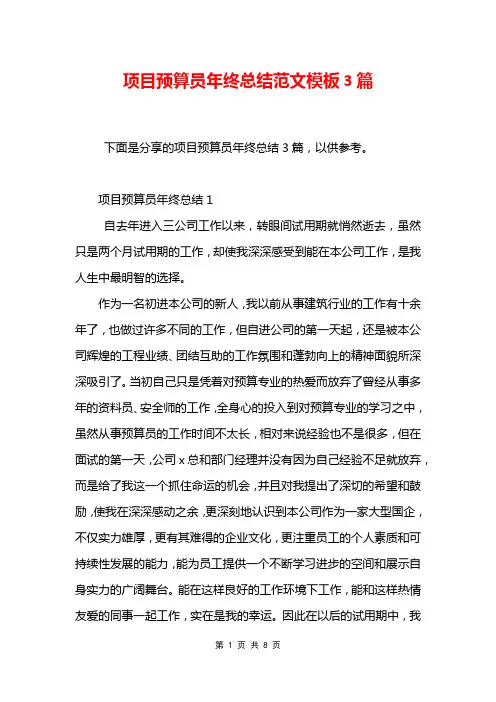项目预算员年终总结范文模板3篇