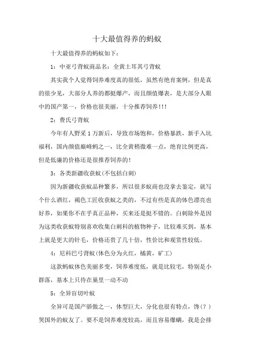 十大最值得养的蚂蚁