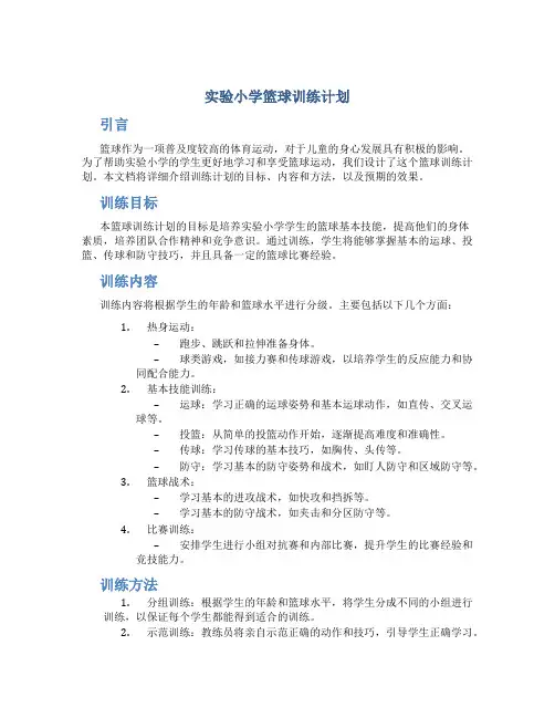 实验小学篮球训练计划