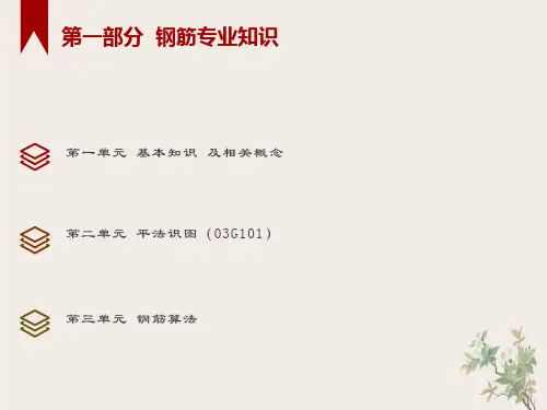 梁柱板基础钢筋平法标注图解