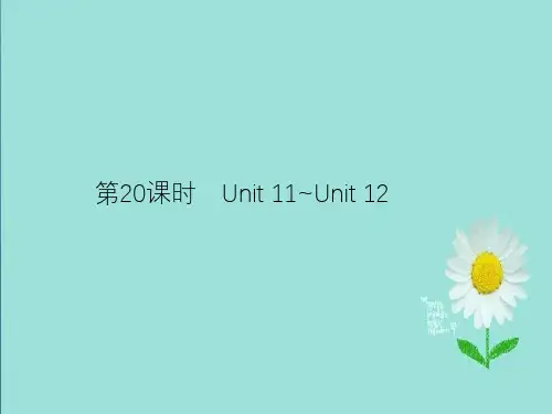 2019年中考英语总复习夯实基础第五部分九全第20课时Unit11_Unit12课件