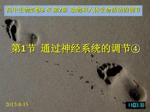 3-2.1生物必修3课堂教学课件—通过神经系统的调节④