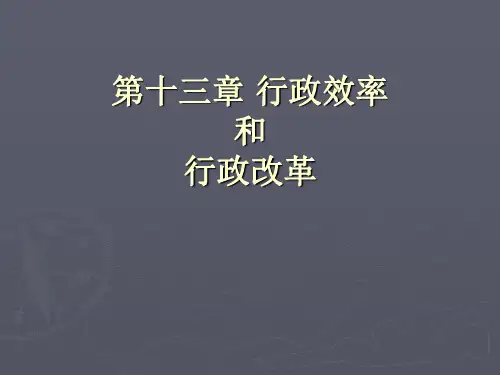 行政管理学之行政效率