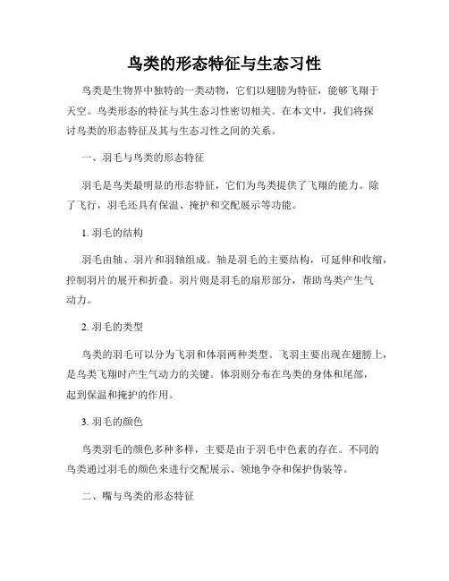 鸟类的形态特征与生态习性