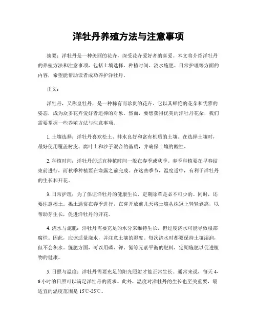 洋牡丹养殖方法与注意事项