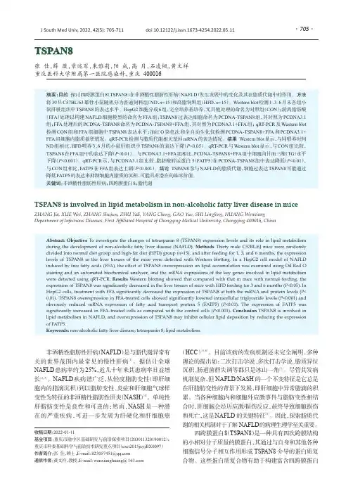 TSPAN8参与小鼠非酒精性脂肪性肝病的脂质代谢