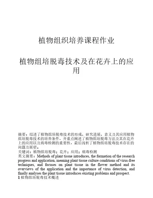 植物组培脱毒技术及在花卉上的应用