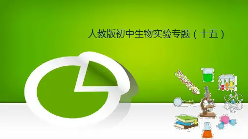 实验 膝跳反射 初中生物全册实验分析设计精讲课件(人教版)