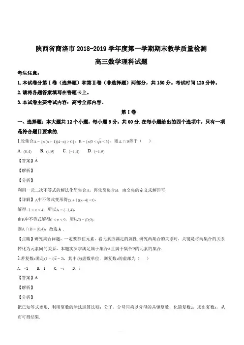 陕西省商洛市2018-2019学年度高三第一学期期末教学质量检测数学(理)试题(解析版)