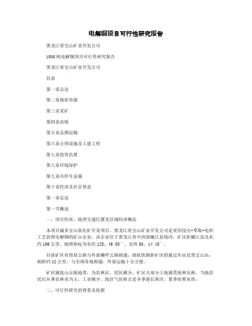 电解铜项目可行性研究报告