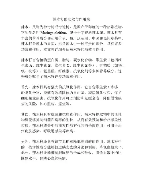 辣木籽的功效与作用辣