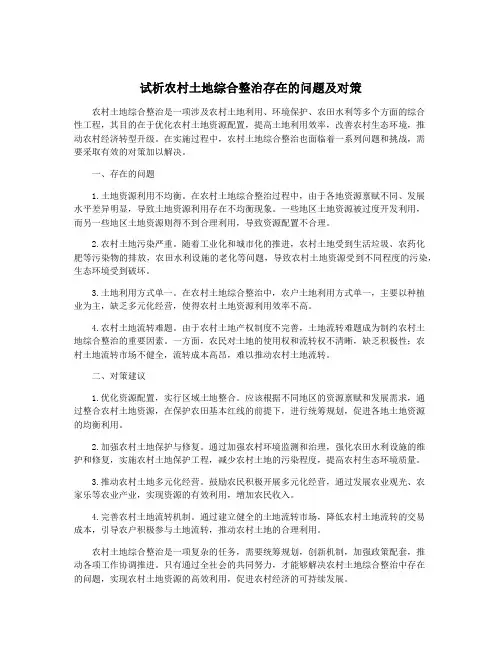 试析农村土地综合整治存在的问题及对策
