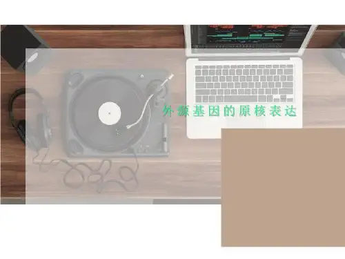 外源基因的原核表达