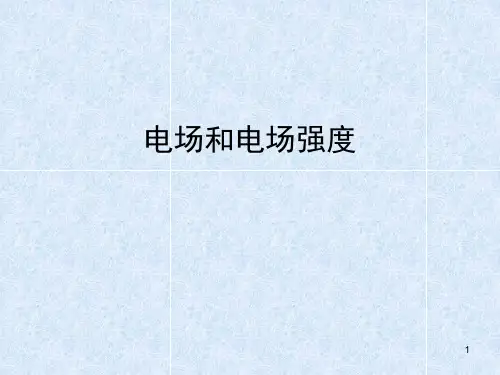 高二物理竞赛课件：电场和电场强度