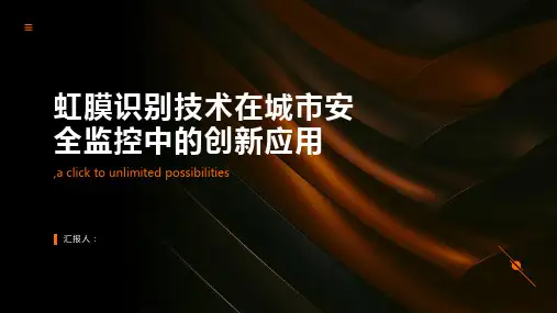 虹膜识别技术在城市安全监控中的创新应用