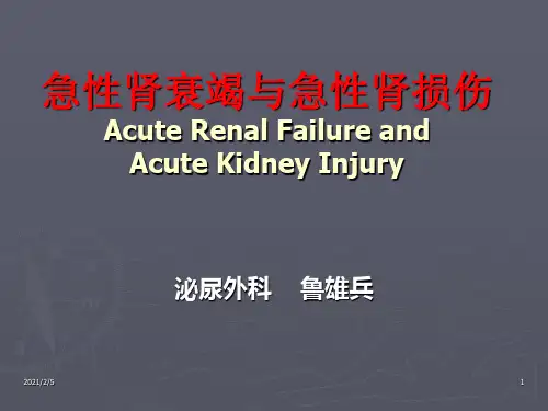 急性肾功能衰竭 ppt课件
