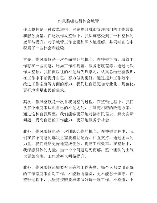 作风整顿心得体会城管