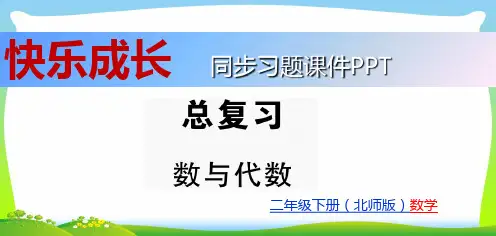 北师大版二年级下册数学习题课件-总复习 数与代数.ppt