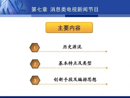 电视新闻节目(第7章)