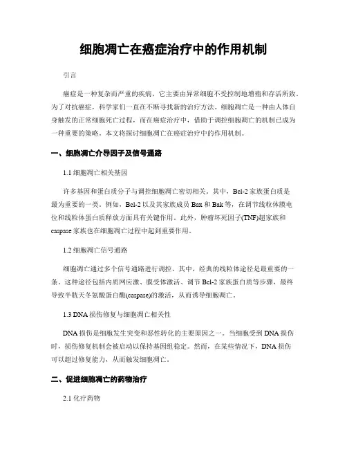 细胞凋亡在癌症治疗中的作用机制