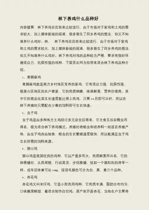林下养鸡什么品种好