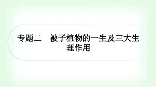 中考生物复习专题二被子植物的一生及三大生理作用课件