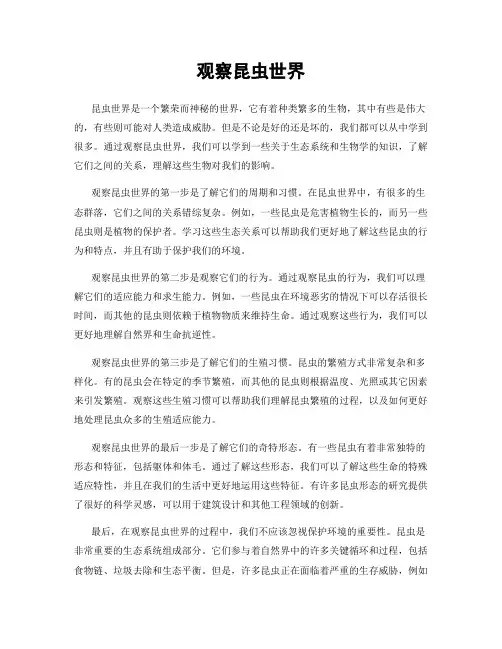 观察昆虫世界