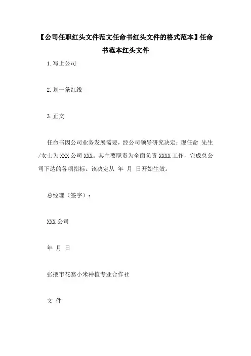 【公司任职红头文件范文任命书红头文件的格式范本】任命书范本红头文件