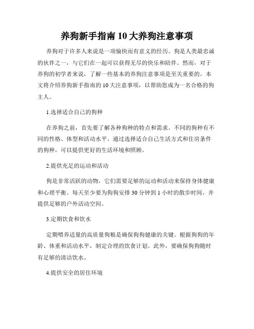 养狗新手指南10大养狗注意事项