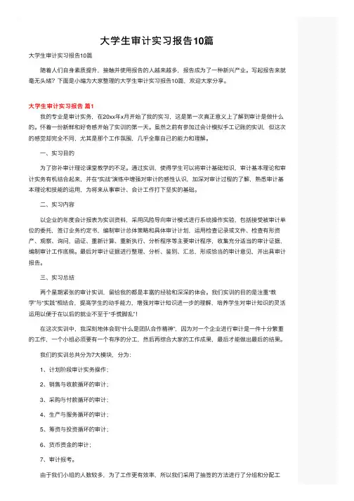 大学生审计实习报告10篇