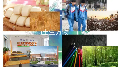 中国的土地资源课件八年级地理上册(完整版)