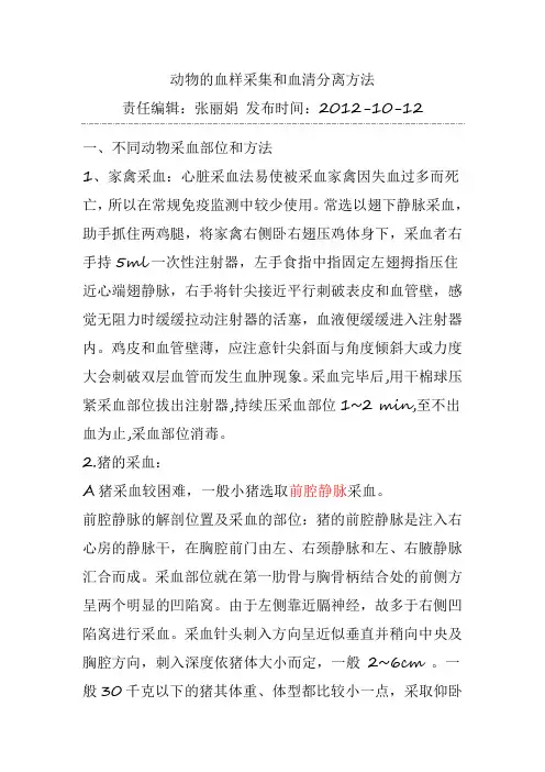 猪的采血