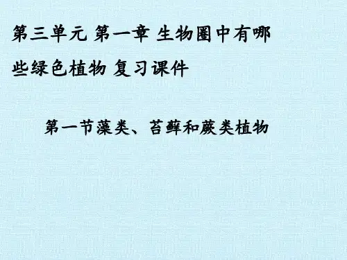 人教版七年级生物上第三单元 第一章 生物圈中有哪些绿色植物复习课教学课件