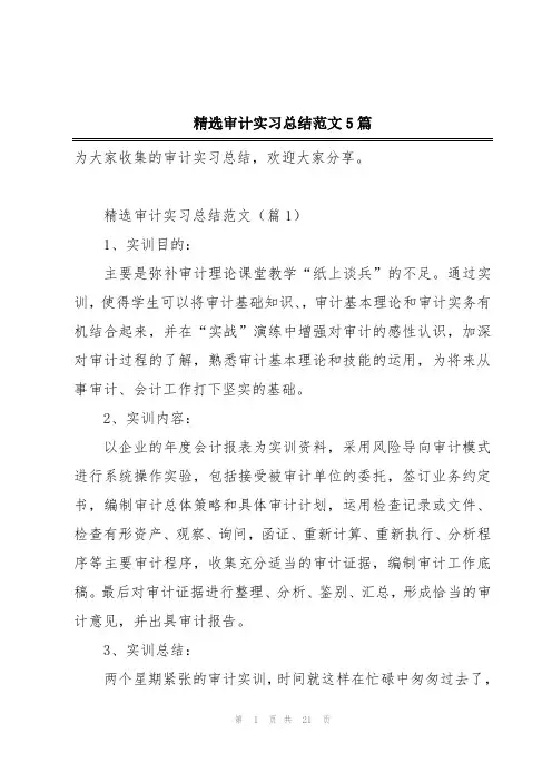 精选审计实习总结范文5篇