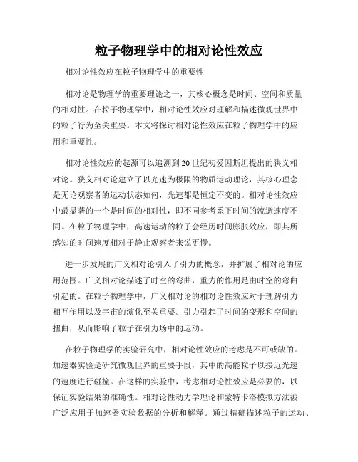 粒子物理学中的相对论性效应