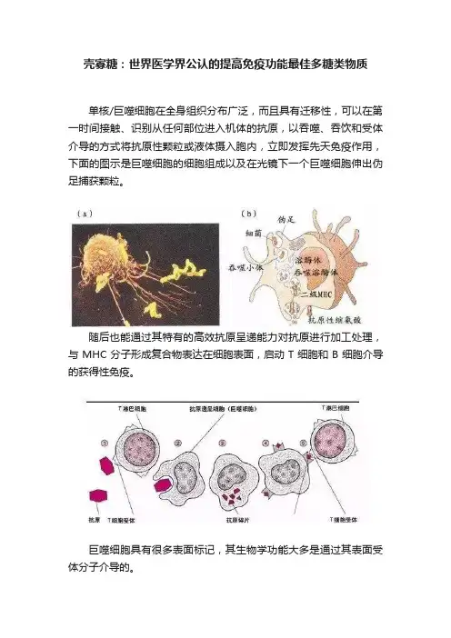 壳寡糖：世界医学界公认的提高免疫功能最佳多糖类物质
