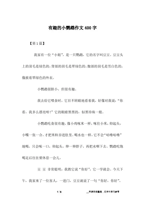 有趣的小鹦鹉作文400字