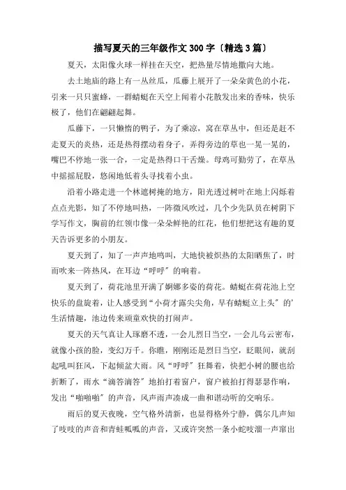 描写夏天的三年级作文300字精编