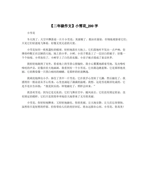【二年级作文】小雪花_200字