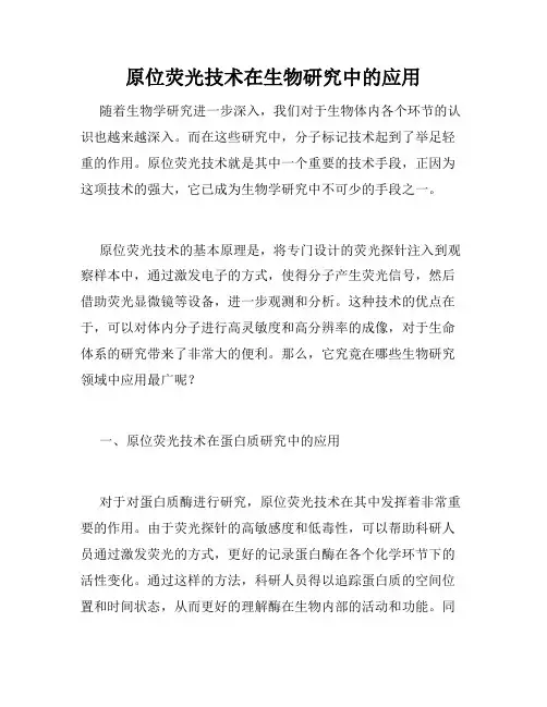 原位荧光技术在生物研究中的应用
