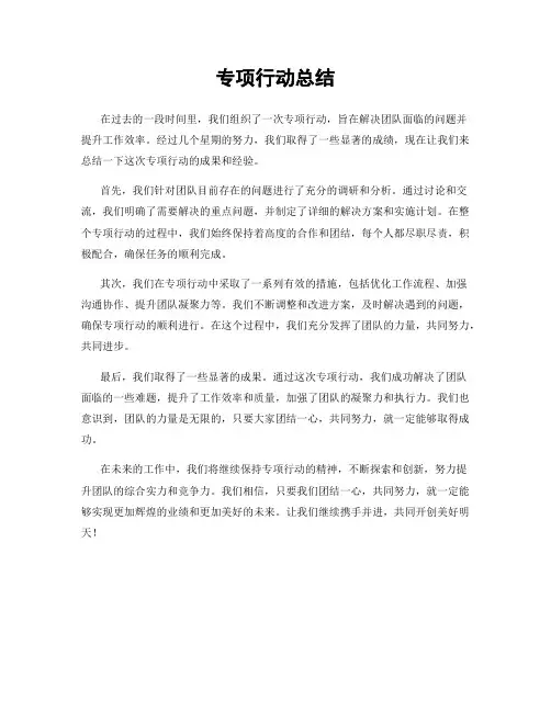 专项行动总结