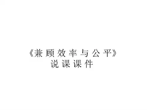 高一政治兼顾效益与公平2