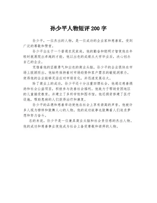 孙少平人物短评200字