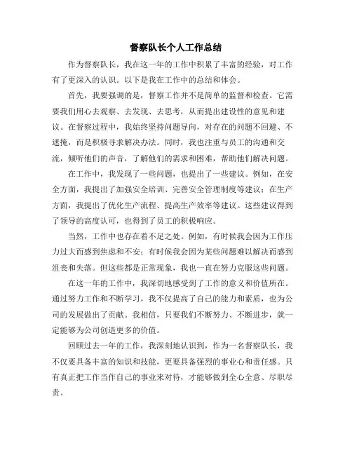 督察队长个人工作总结